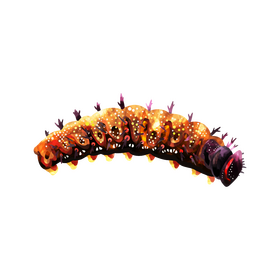 Red admiral caterpillar clipart