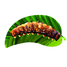 Red admiral caterpillar vector