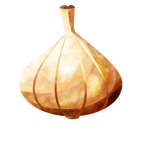 Garlic clipart