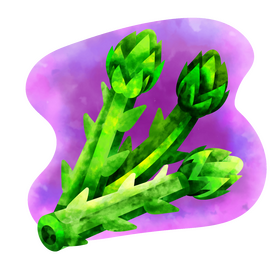 Asparagus vector