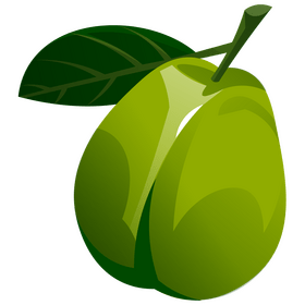 Guava clipart