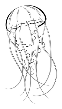 Jellyfish cartoon black and white clipart