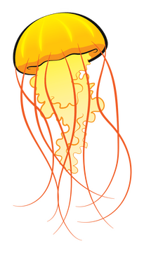 Jellyfish cartoon clipart