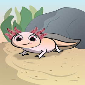 Axolotl cartoon vector