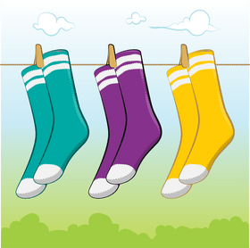 Socks vector