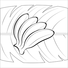 Banana fruit with leaf black and white vector