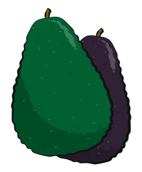 Avocado fruit clipart
