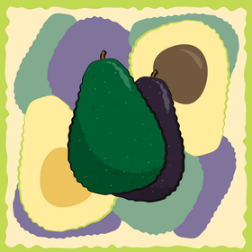 Avocado fruit vector