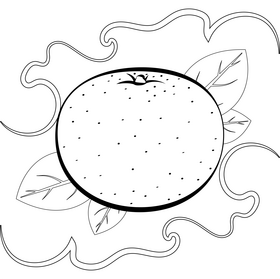 Orange fruit drawing black and white vector