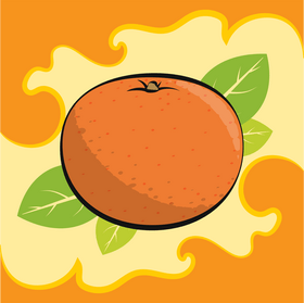 Orange fruit drawing vector