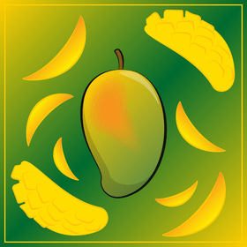 Mango fruit vector