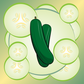 Cucumber vegetable vector