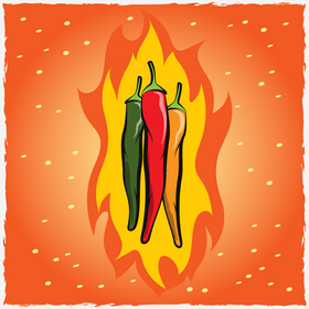 Chilli green, red, yellow vector