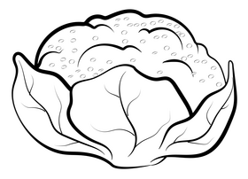 Cauliflower vegetable drawing black and white clipart