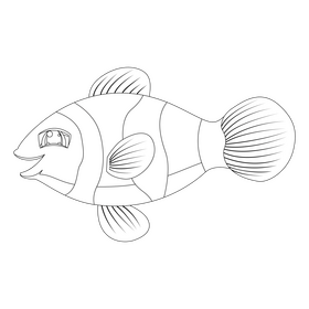 Clownfish black and white clipart