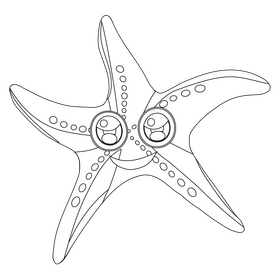 Starfish black and white clipart