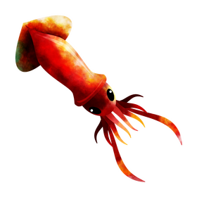 Squid clipart