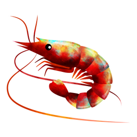 Prawn clipart