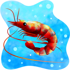 Prawn vector