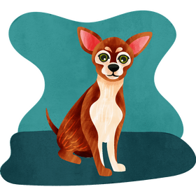 Chihuahua dog vector