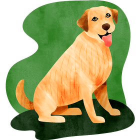 Labrador dog vector