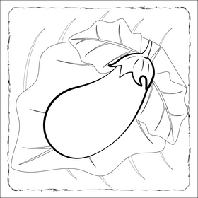 Eggplant vegetable drawing black and white vector