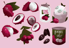 Lychee vector