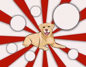 Labrador dog vector