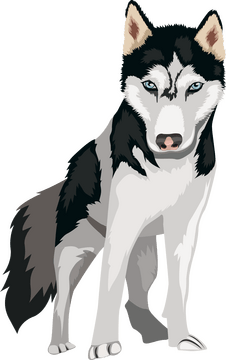Sakhalin husky dog clipart