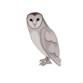 Owl clipart