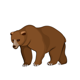 Bear clipart