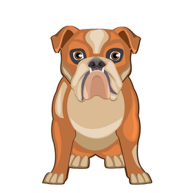 Bulldog clipart