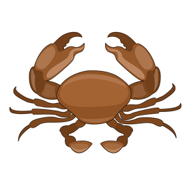Crab clipart