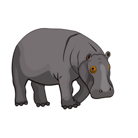 Hippo clipart