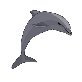 Dolphin clipart