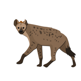 Hyena clipart