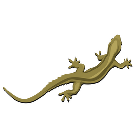 Lizard clipart