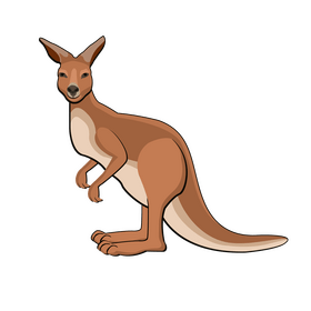 Kangaroo clipart
