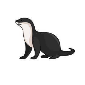 Otter clipart