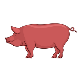 Pig clipart