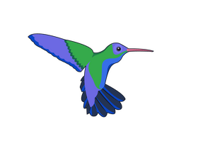 Hummingbird clipart