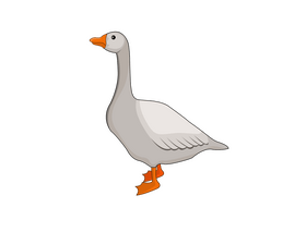 Duck clipart