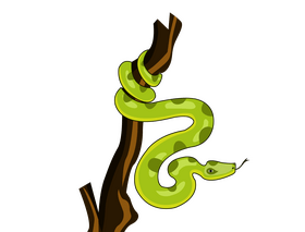 Boa snake clipart