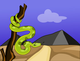 Boa snake vector