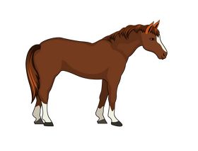 Horse clipart