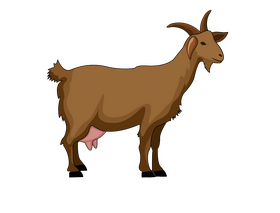 Goat clipart