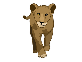 Lioness clipart