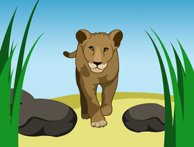Lioness vector