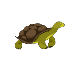 Turtle clipart