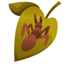 Ant on the leaf clipart